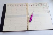 体育大学综合分排名及分数线分析，评估体育教育的黄金标准