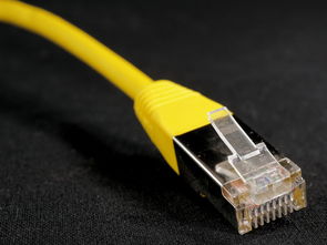 深入解析Opta官网，体育数据的宝库与分析工具